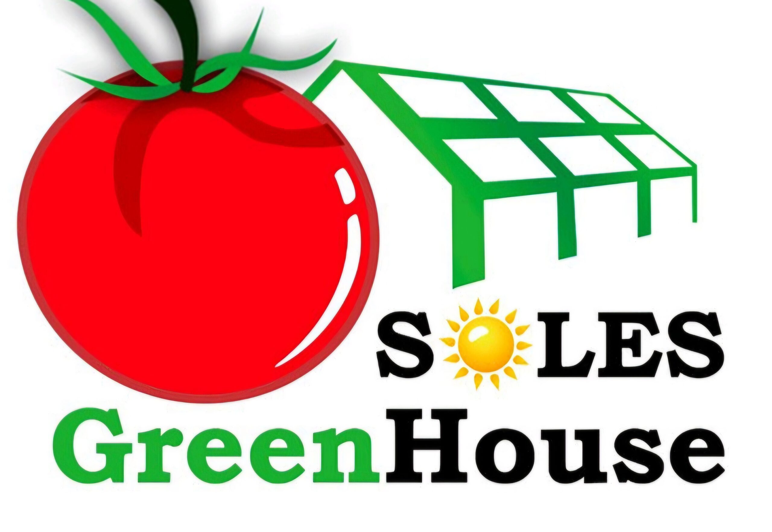 Hortícola Soles – Tomates de Alta Calidad y Agricultura Protegida